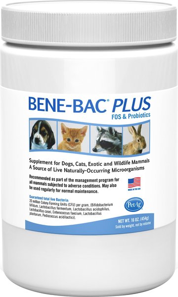 PetAg Bene-Bac Plus Powder Digestive Supplement for Dogs， Cats and Small Pets