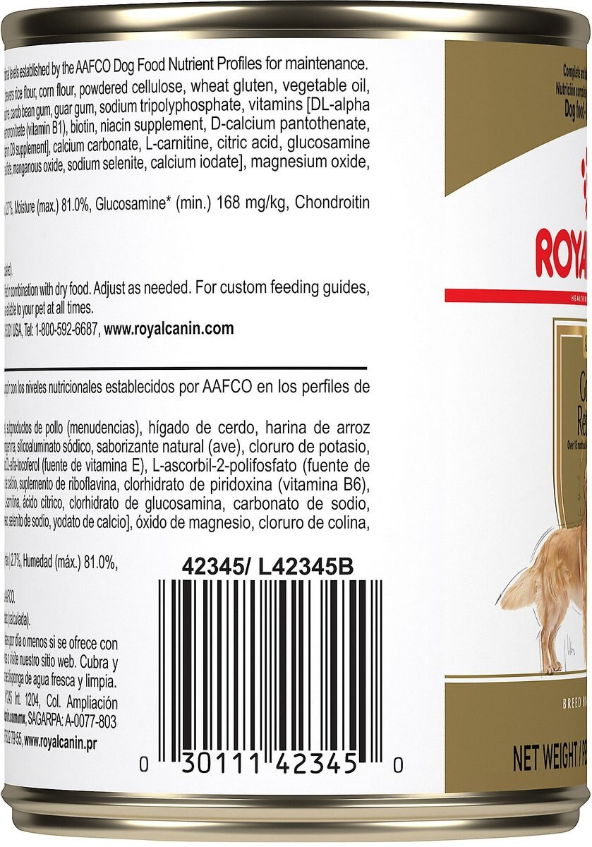 Royal Canin Breed Health Nutrition Golden Retriever Adult Loaf in Sauce Canned Dog Food