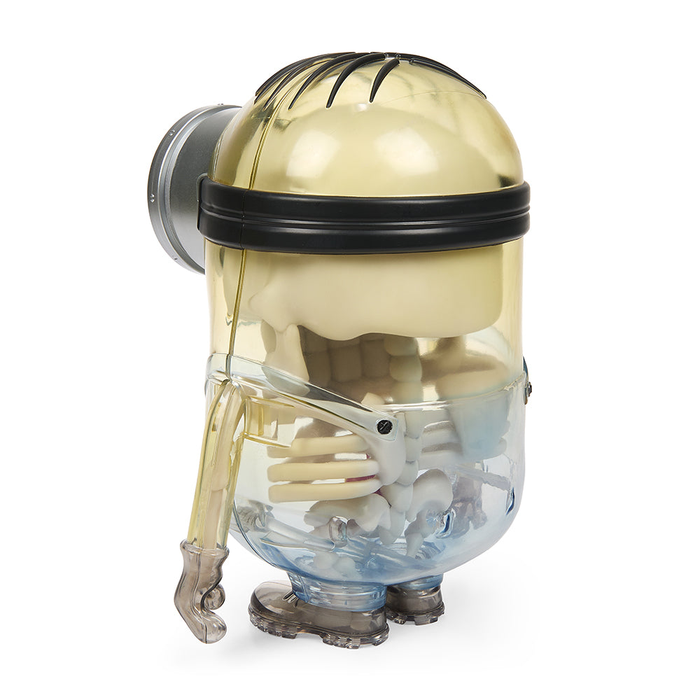 Minions Anatomy 8” Art Figure by Kidrobot