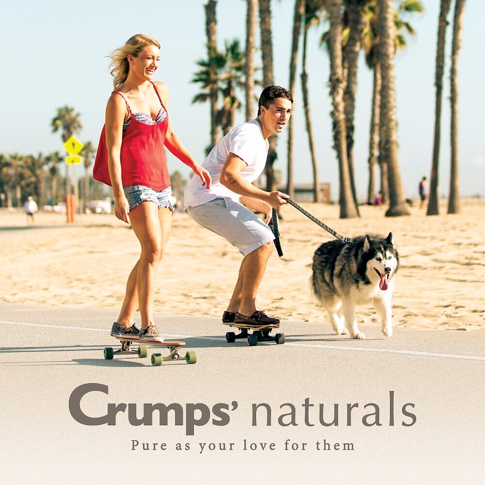 Crumps' Naturals Plaque Busters Original Dental Dog Treats