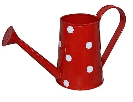 Planters smart home products Metal Watering Can for Plants Black Design Metal Watering Planter can Red Color Indoor and Outdoor