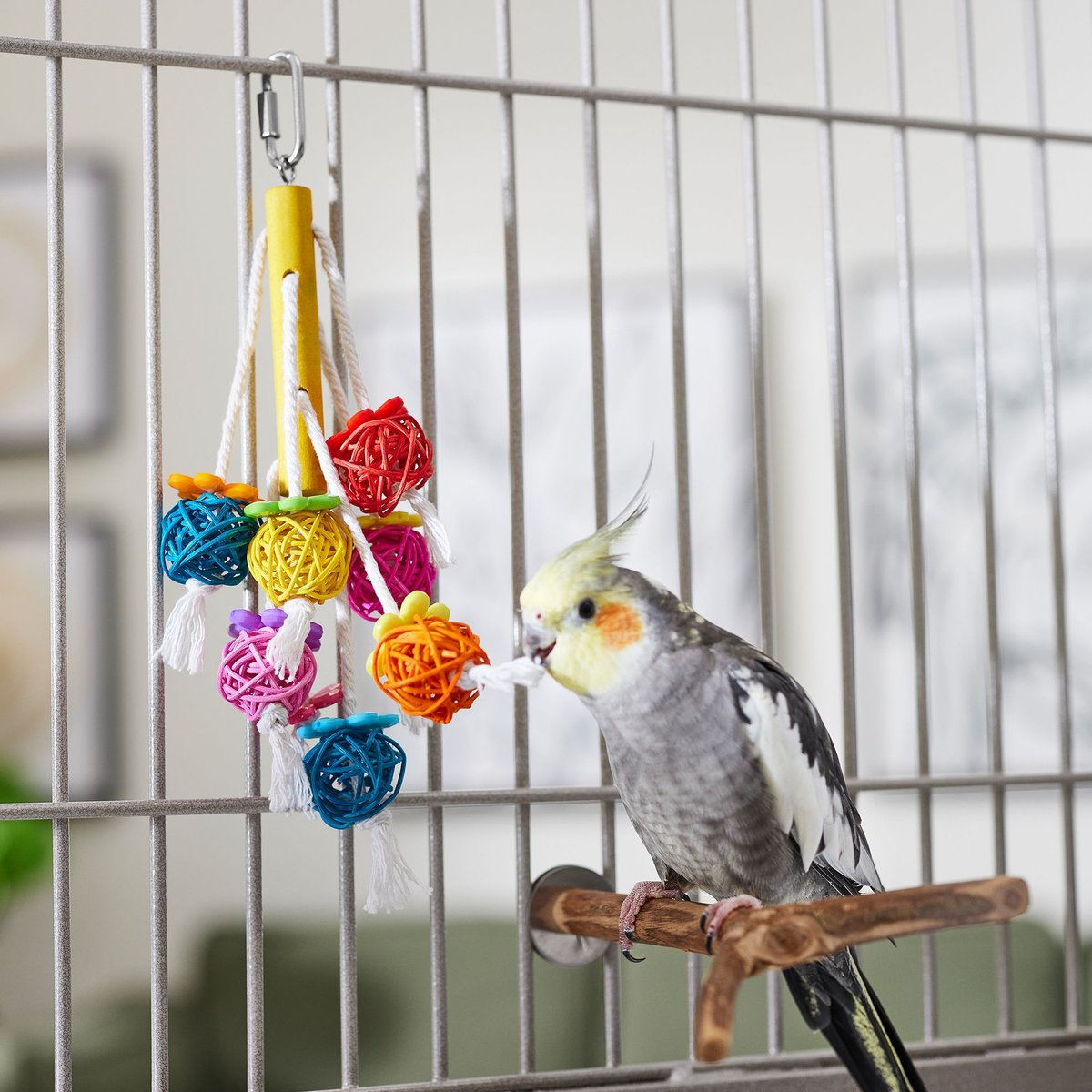 Frisco Bouquet Cluster Bird Chew Toy