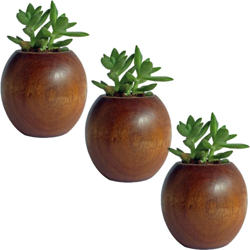 Indoor Decorative Wooden Planter OEM Customized Modern Planter Wood Flower Pots   Planter Supply From India