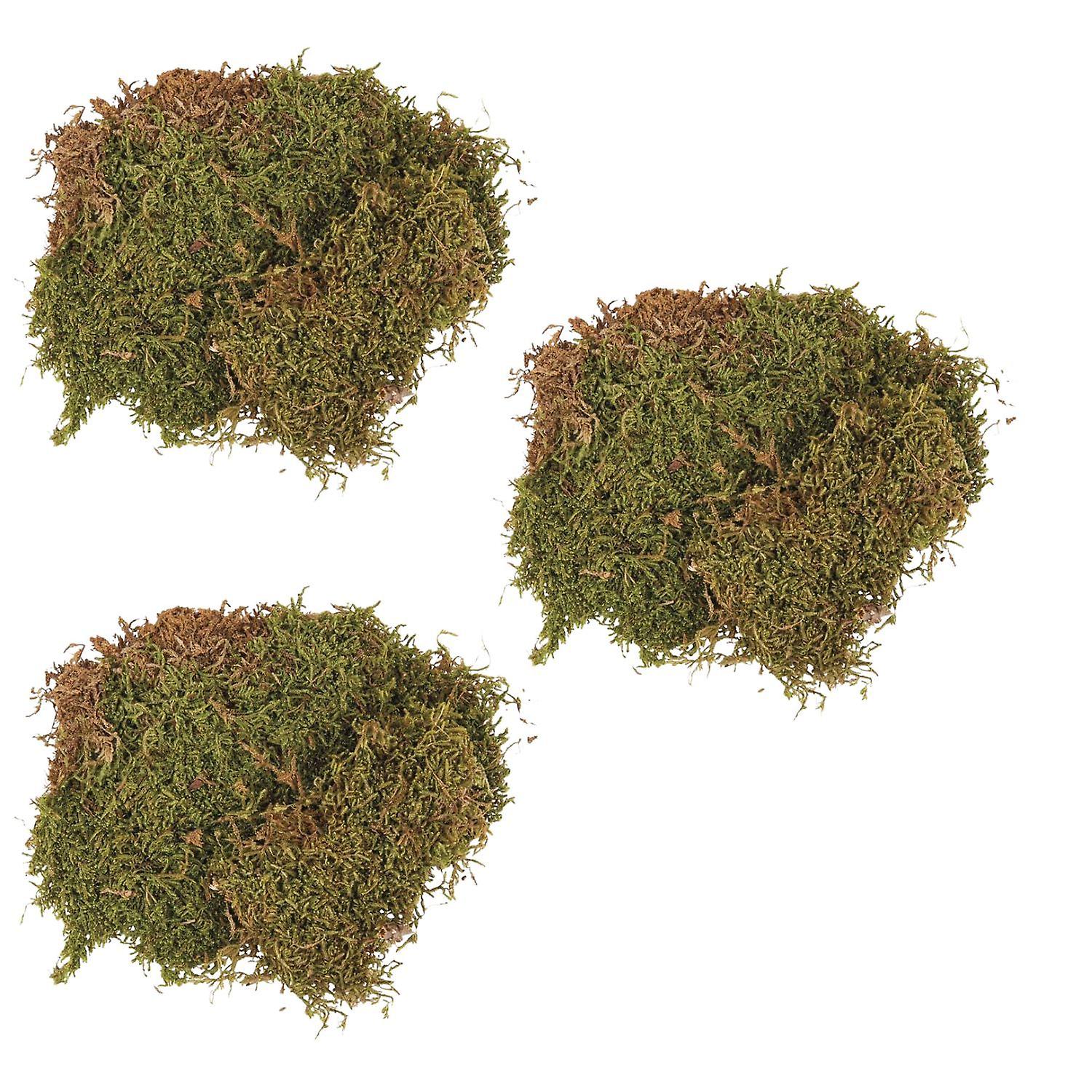 Dried moss 3 x 100g trays