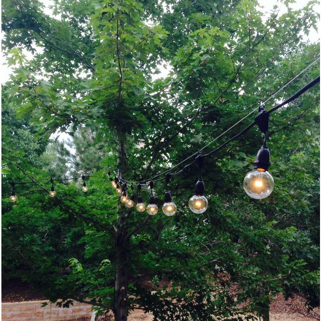 Novelty Lights Globe Outdoor String Lights With 100 Suspended Sockets Suspended Black Wire 100 Feet