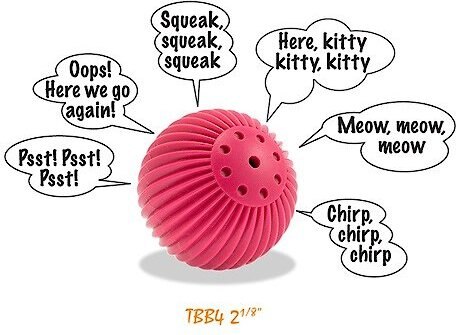 Pet Qwerks Babble Ball Kitten Toy with Catnip