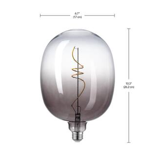 Globe Electric 25 Watt Equivalent Luxe Dimmable Spiral Filament Vintage Edison LED Light Bulb Warm Amber Light 35654