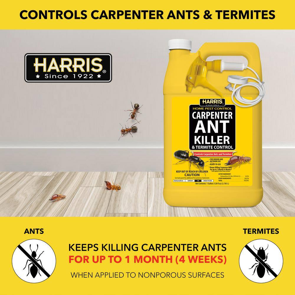 Harris 128 oz. Carpenter Ant Killer and Termite Control Treatment Spray (2-Pack) 2HCAT-128