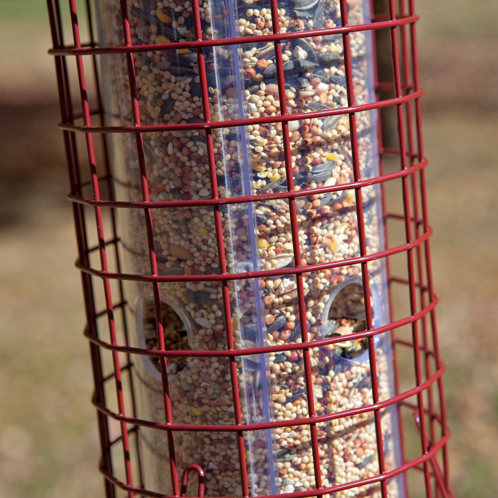 Perky-Pet Red Squirrel Resistant Easy Wild Bird Tube Feeder - 4 lb