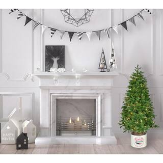 4.5-Ft. Porch Tree in Reindeer Pot with Warm White LED Lights FFPTG054-5GR