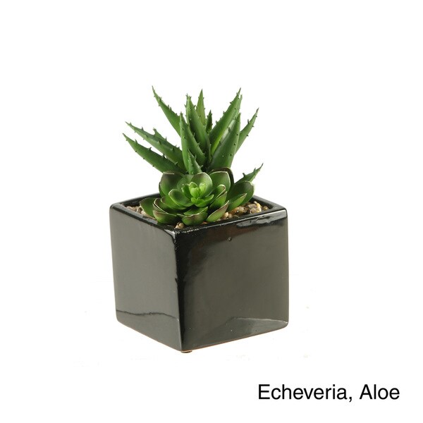 DandW Silks Plants in Square Ceramic Planter