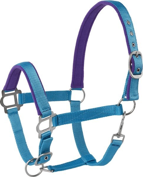 Tough-1 Nylon Padded Halter with Satin Horse Hardware， Turquoise