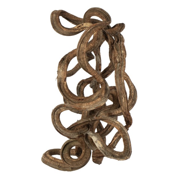 Coiled Vine Dried