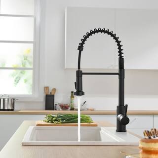 Fapully Touchless Single-Handle Pull-Down Sprayer Kitchen Faucet in Matte Black DFA-1002B