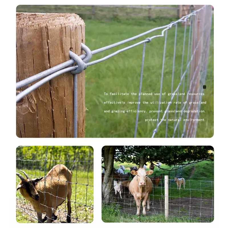 High quality Hot dip galvanizing tractor supply cheap livestock deer goat sheep farm fence cattle fence