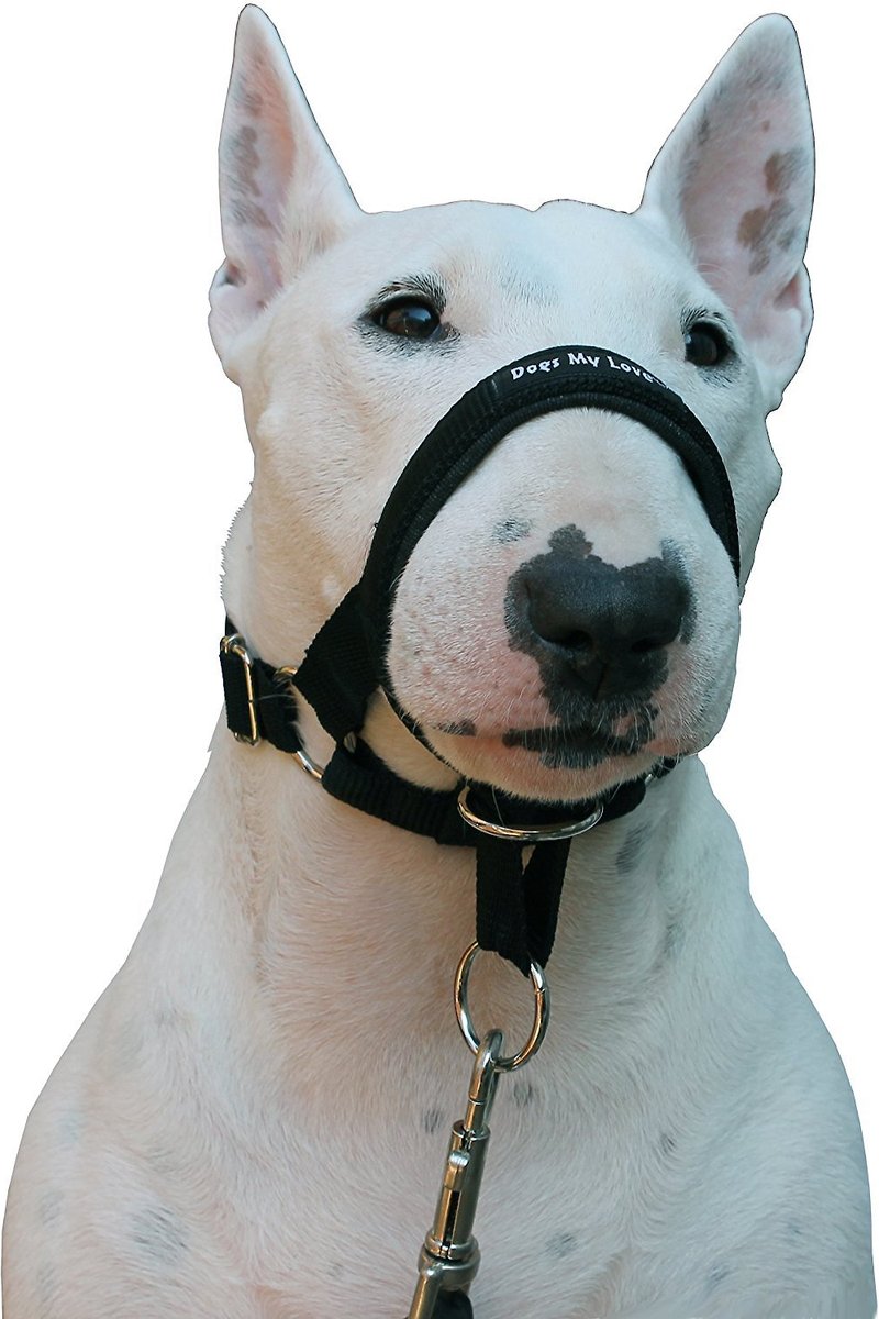 Dogs My Love Nylon Dog Headcollar