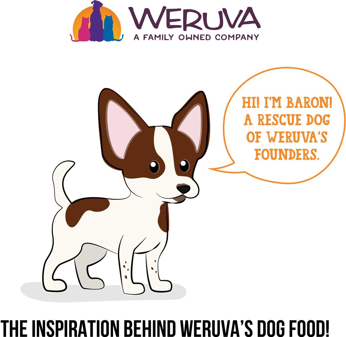 Weruva Dogs in the Kitchen Goldie Lox with Chicken and Wild Caught Salmon Au Jus Grain-Free Dog Food Pouches