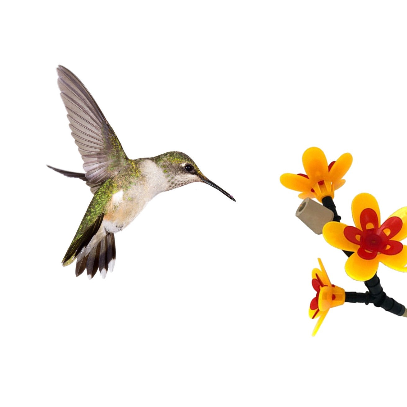 Turn Your Own Recycled Bottles Into The Special Hummingbird Feeder