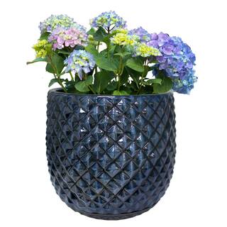 Trendspot 12 in. Blue Pinequilt Ceramic Planter Decorative Pots CR00869S-120M