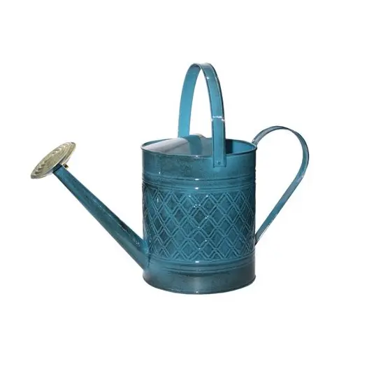 Garden Supplies Metal Water Can Handmade Round Shape Wholesale Water Can Customized Size Low Price Vintage Watering Can