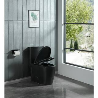 Abruzzo One-Piece Toilet 1.1 GPF1.6 GPF Dual Flush Elongated Toilet 1000 Gram MaP Flushing Score Toilet in Matt Black 23T01-MB