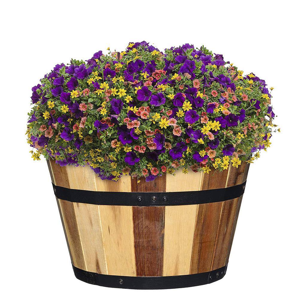 CHG CLASSIC HOME  GARDEN Acacia Wood Barrel Planters (Set of 3) 58003