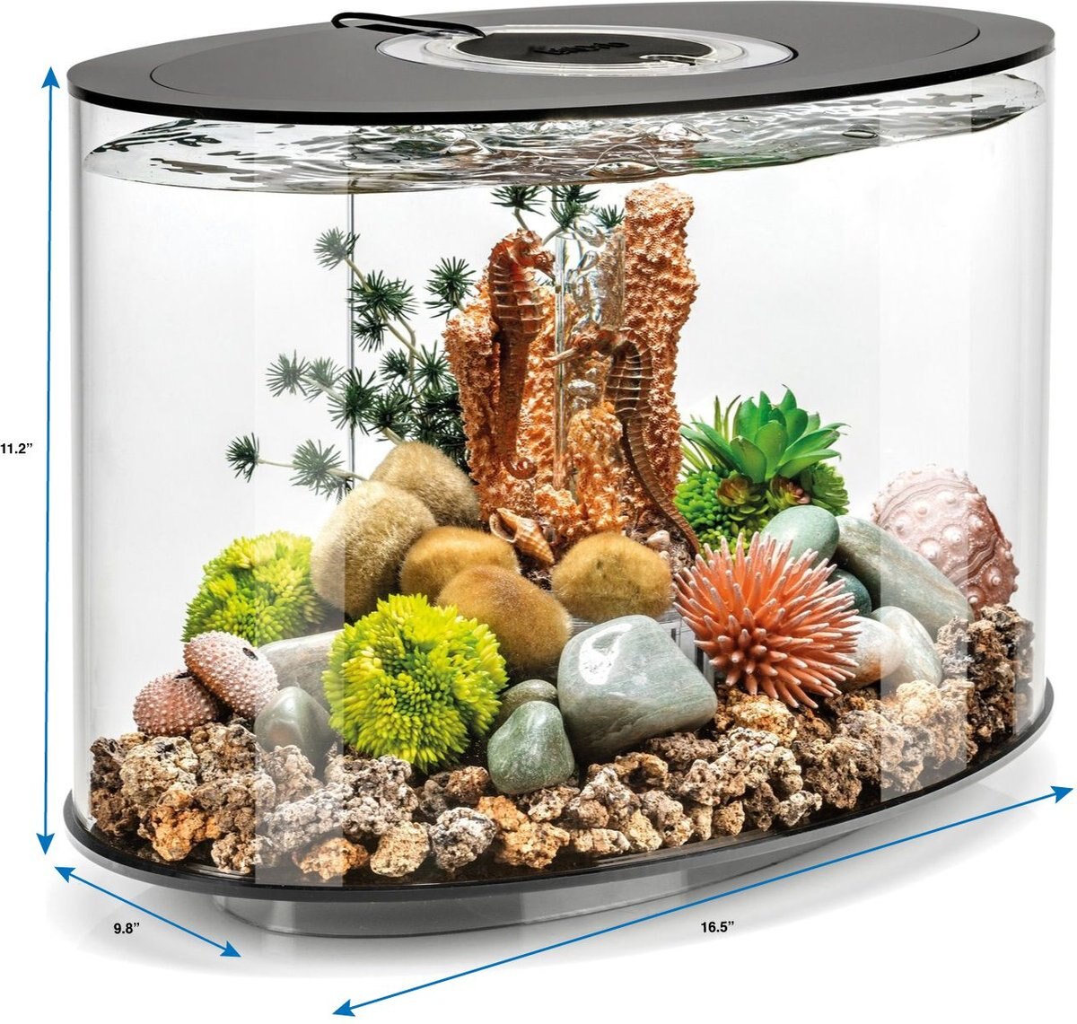 biOrb LOOP 15 Standard Light Fish Aquarium， 4-gal