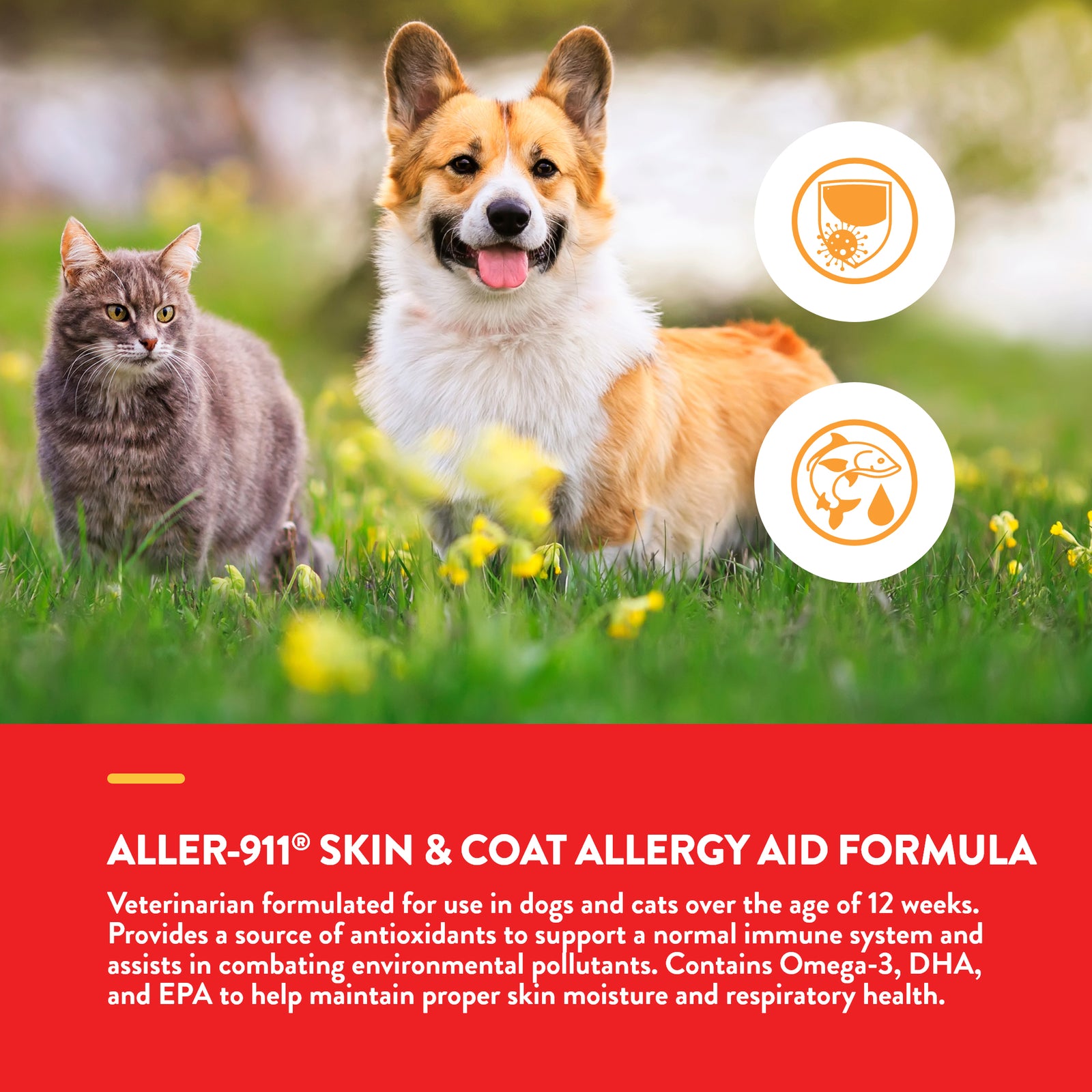 NaturVet Aller 911 Allergy Aid Skin  Coat Dog  Cat Tablets