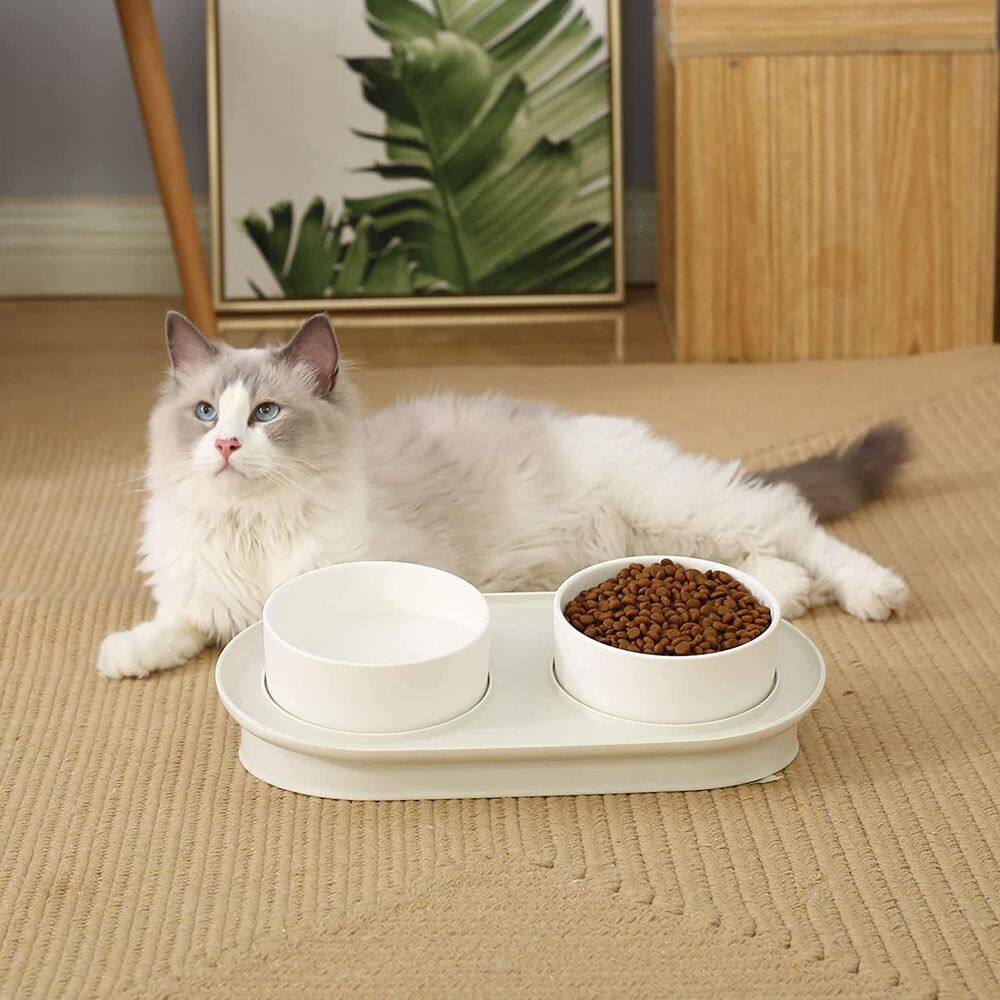 Elevated Cat Bowls, Raised Cats Ceramic Food and Water Stand Bowl Dishes in White H-D0102H9XK8U