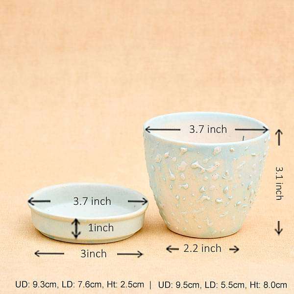 3.7 inch (9 cm) CP018 Embossed Round Egg Ceramic Pot With Plate (Aqua Blue) (set of 2)