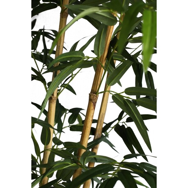 Vintage Home 78inch Tall Natural Bamboo Tree in 14inch Planter