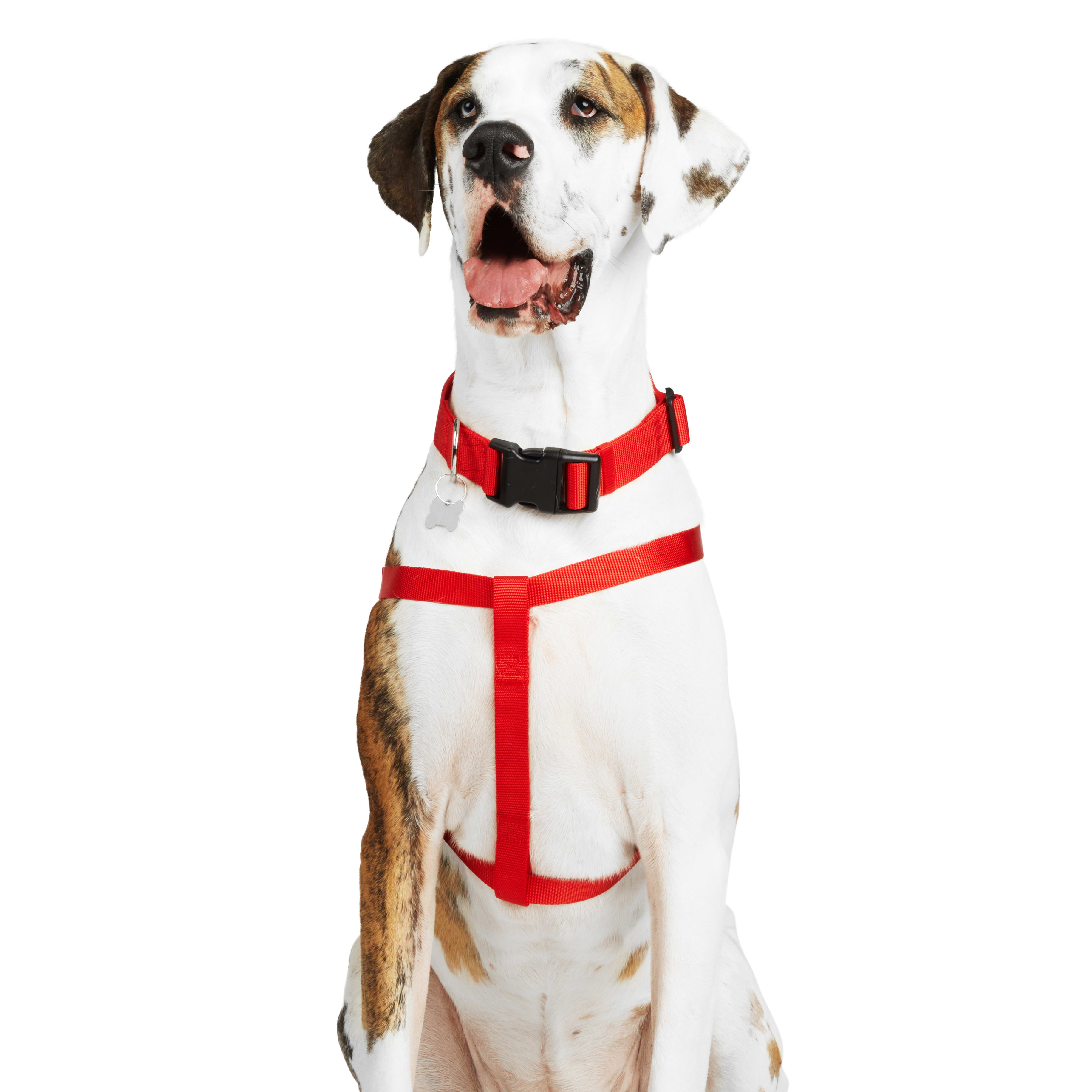 YOULY Red Dog Harness， X-Small