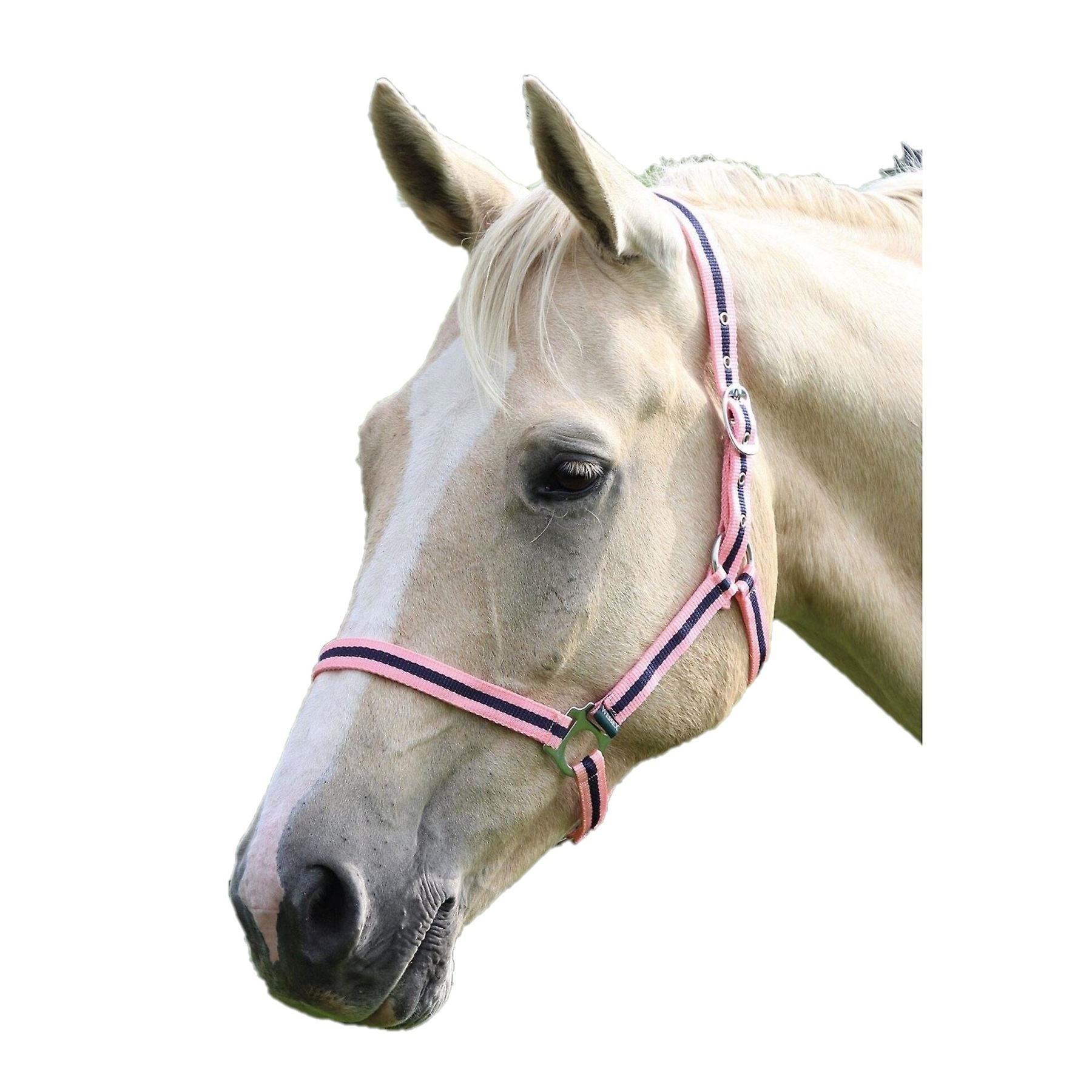 Wessex Horse Headcollar