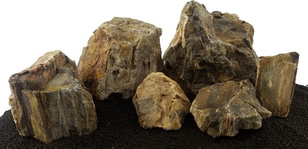 Lifegard Aquatics Canyon Petrified Stone 25 Gallon Kit