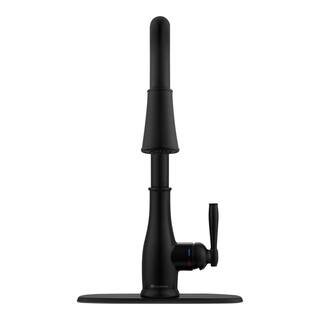 Glacier Bay Halwin Single-Handle Pull-Down Sprayer Kitchen Faucet in Matte Black HD67726W-2010H