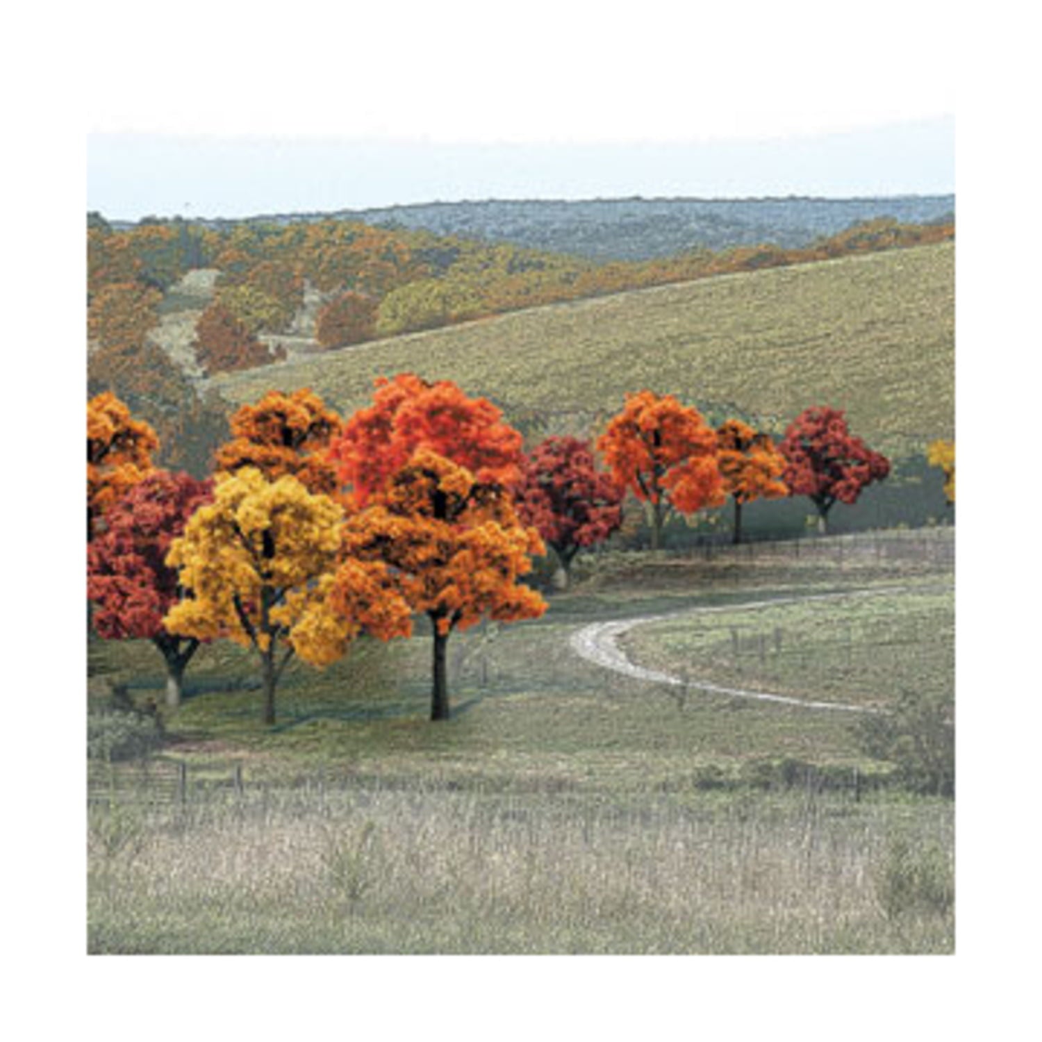 Deciduous Trees - Fall Colors (3/4