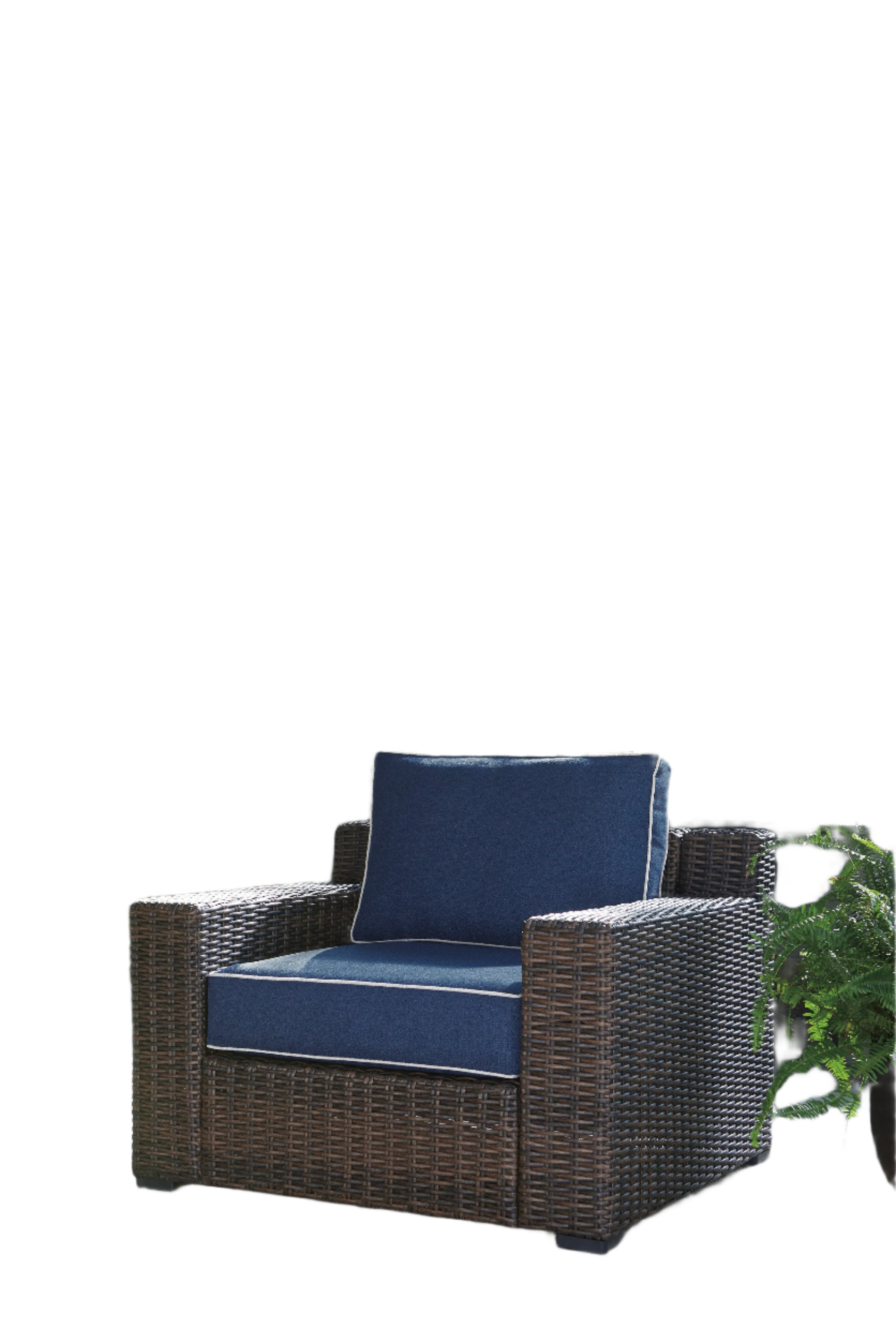 Grasson Lane Lounge Chair with Cushion