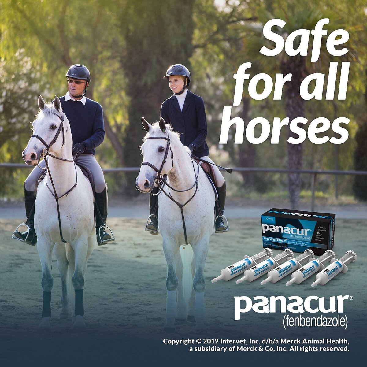 Panacur Powerpac Equine Paste 10% Horse Dewormer