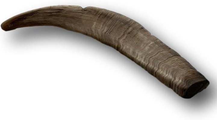 Top Dog Chews Goat Horn Dog Treats， Large