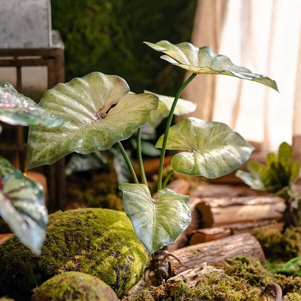 RusticReach Faux Rooted Bunch Alocasia 19 Tall