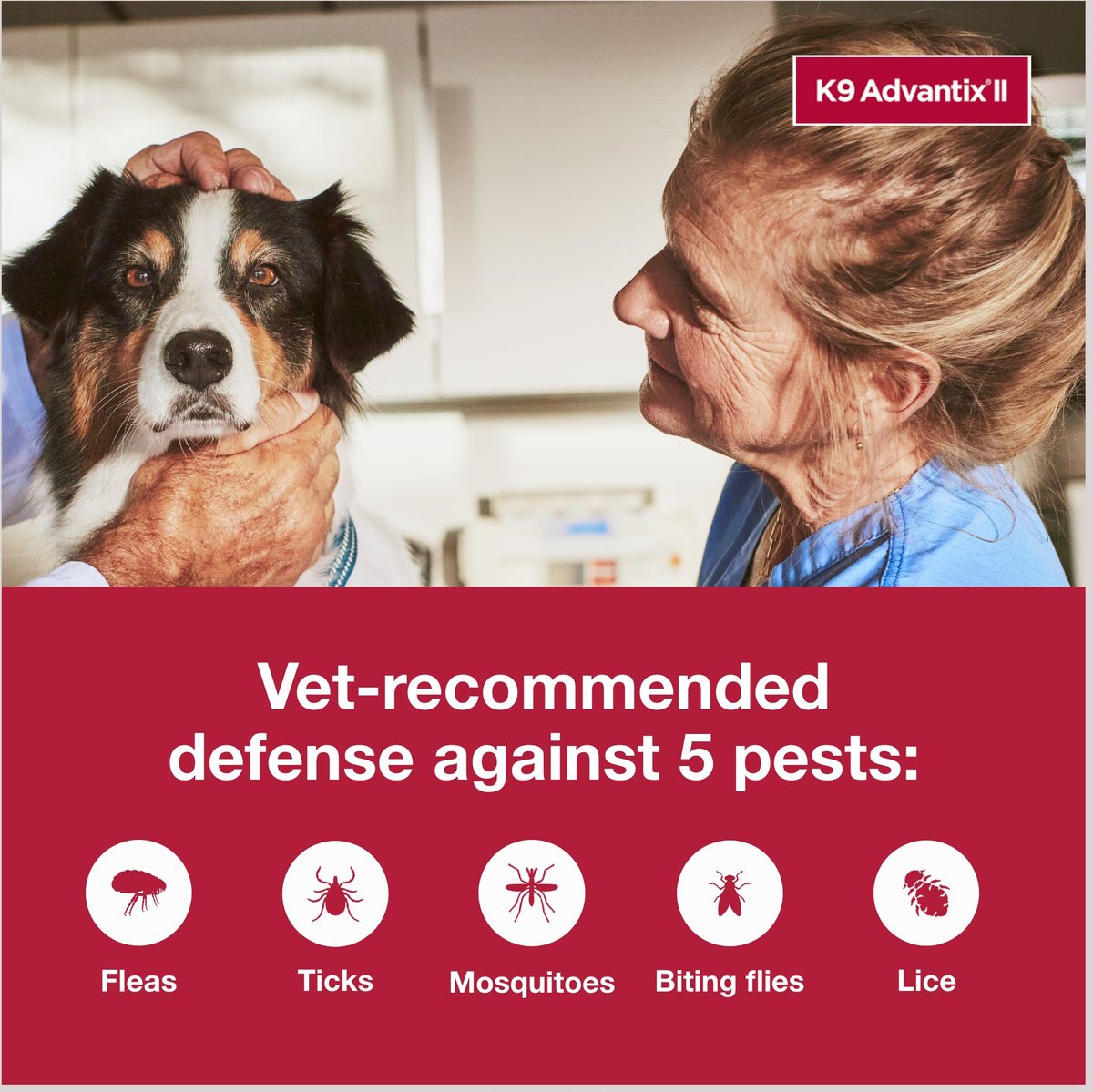 K9 Advantix II Flea and Tick Spot Treatment for Dogs， 21-55 lbs