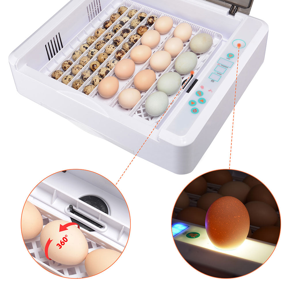 Yescom 36 Egg Incubator Auto Turning Temper Humidity Control