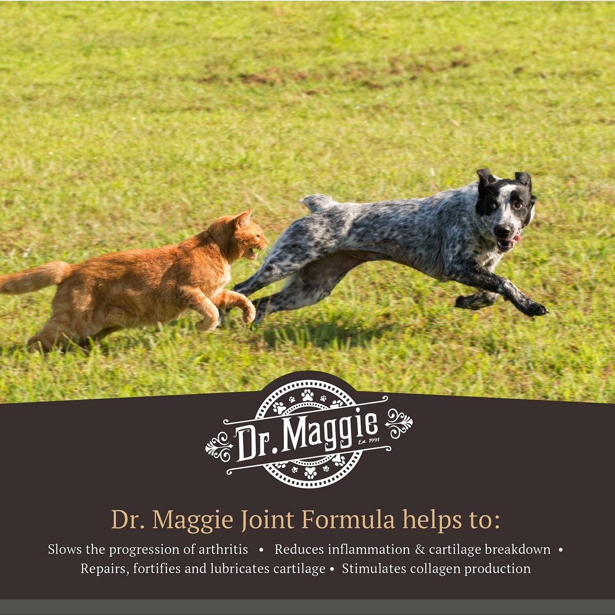 Dr. Maggie Joint Formula Pet Supplement