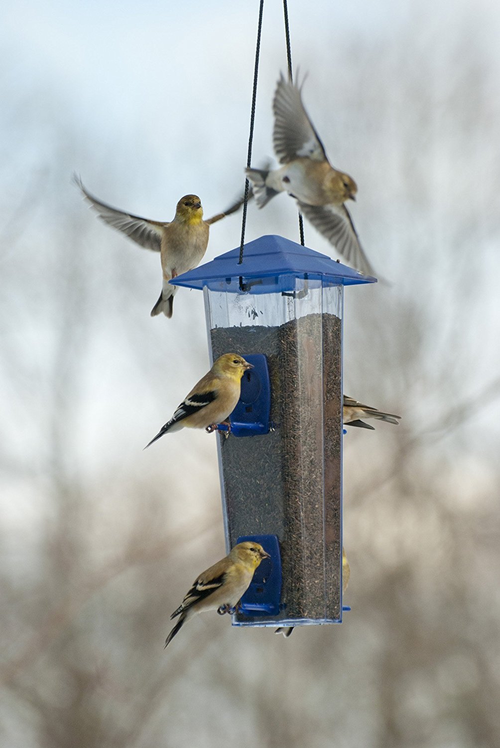 DUAL-PORT MIXED SEED/FINCH MIX