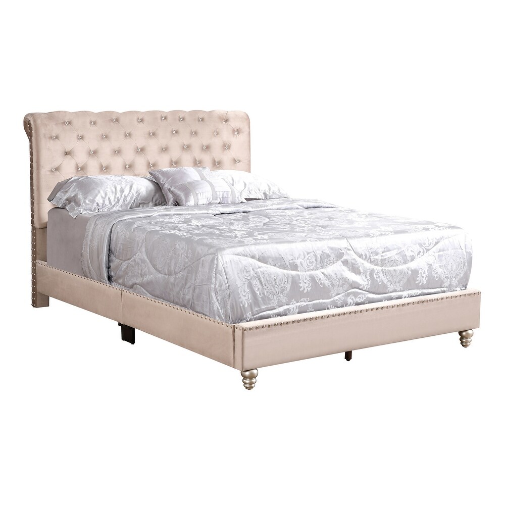 Maxx Tufted Upholstered Queen Panel Bed