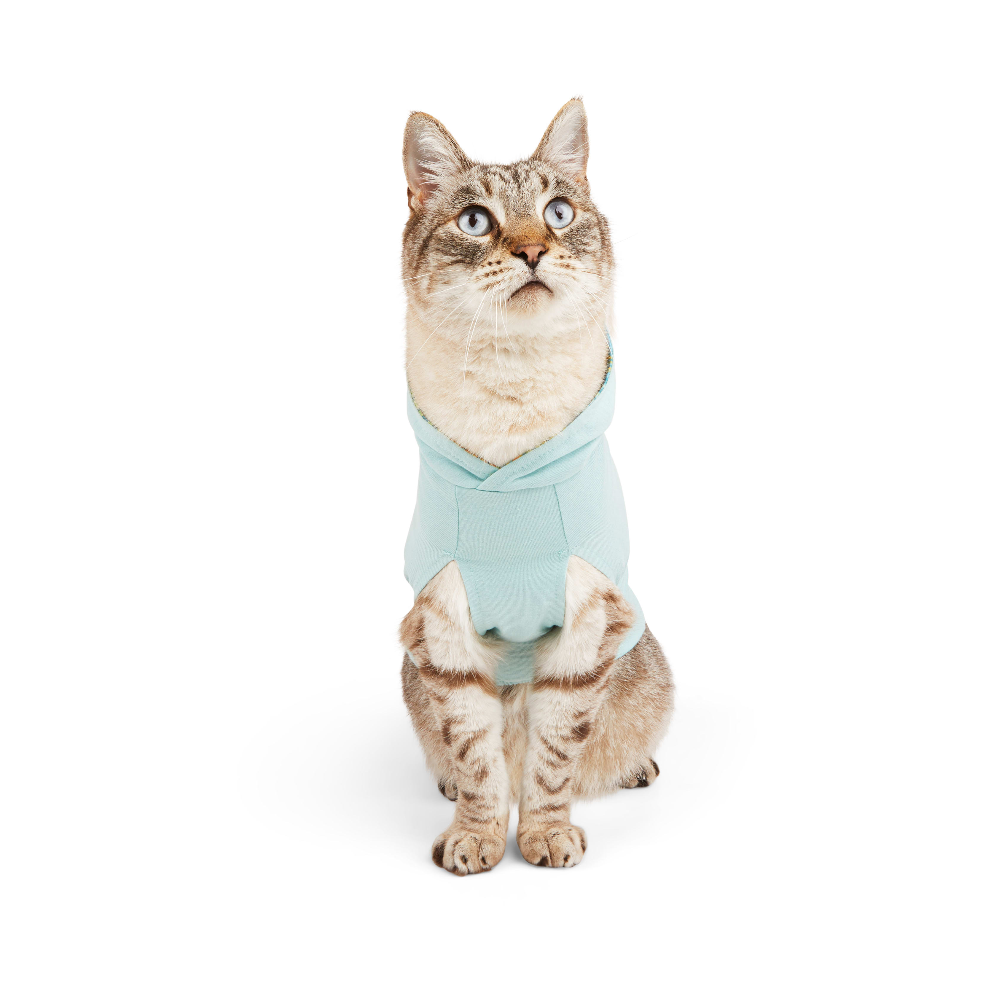 YOULY Cat Sunshine Hoodie， Small/Medium