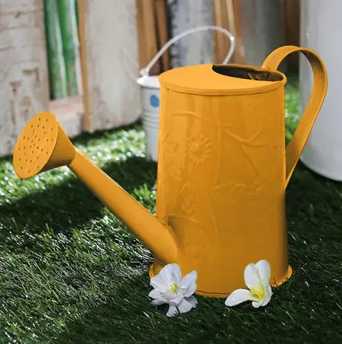 Newest Luxury Metal orange watering can wholesale for outdoor and indoor plants flowers watering can Home Garden made in india