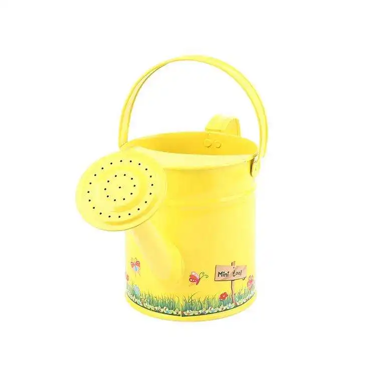 Custom small colour metal watering can garden supplies watering can