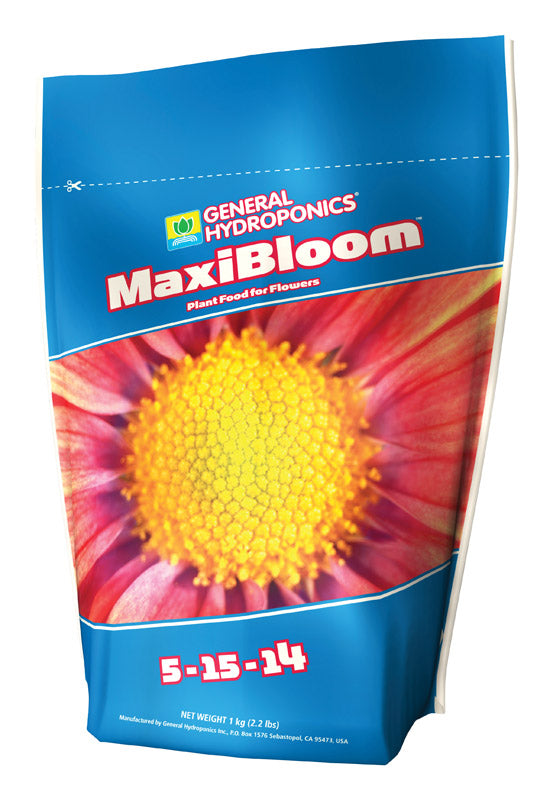 MAXI BLOOM 2.2 LB