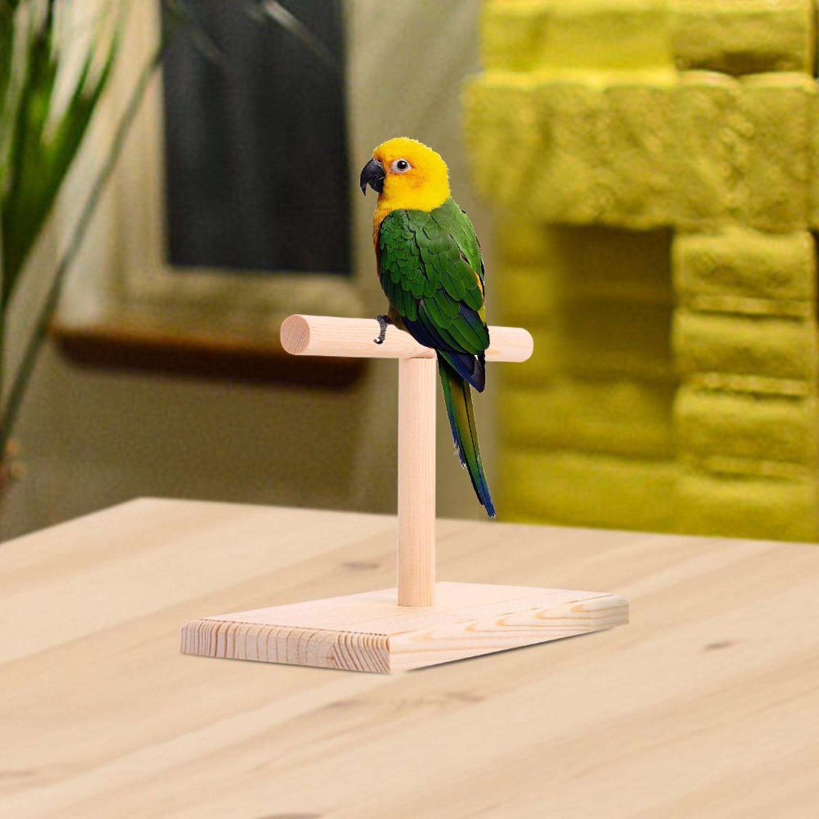 Bird Perch Finch Desktop Parrot Training Perches Branch